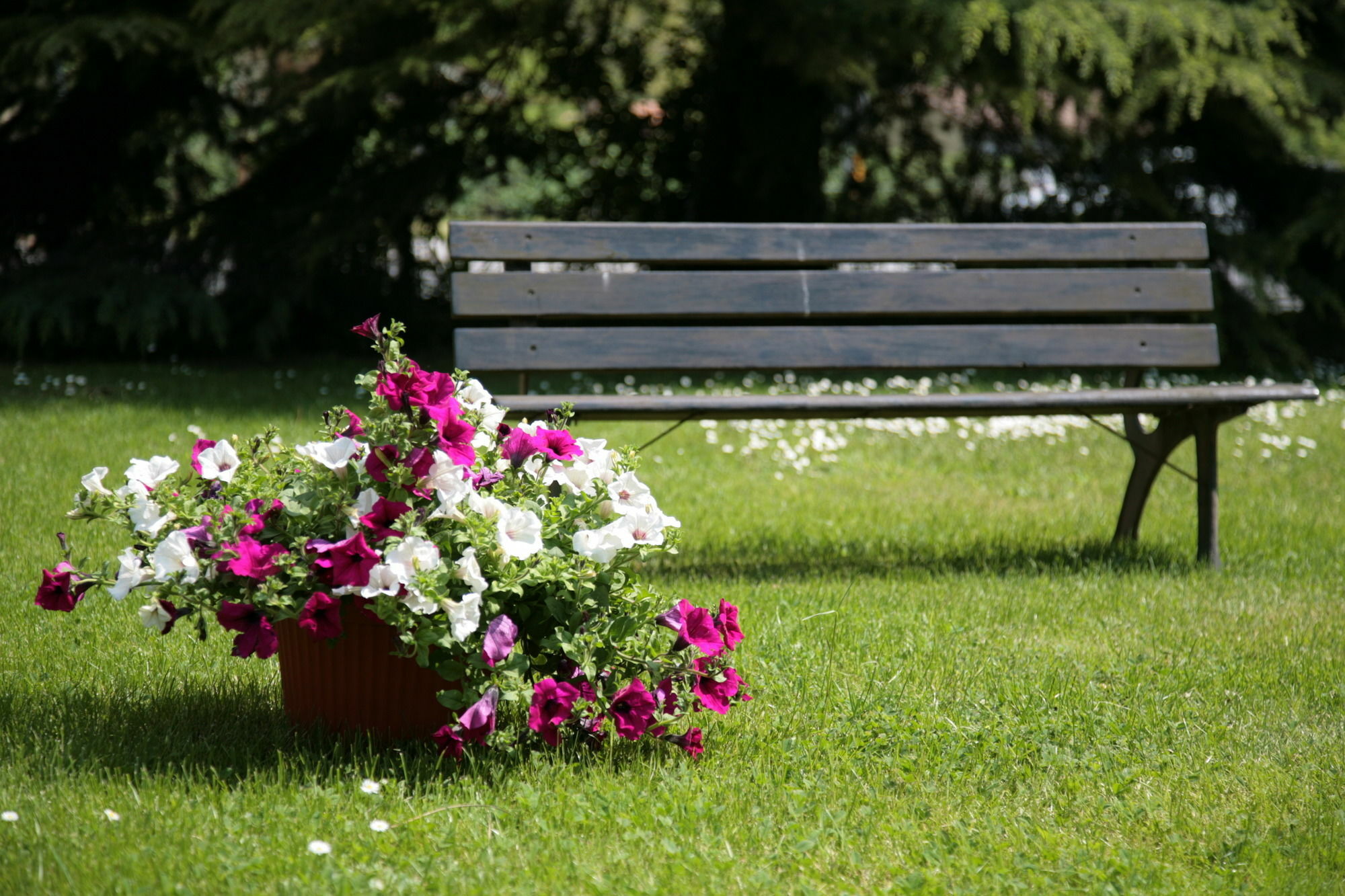 Hotel Bassetto Ферентіно Екстер'єр фото